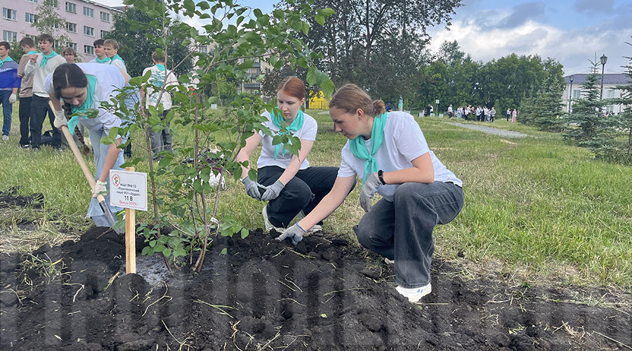 Каждый выпускной класс высадил в дендрарии несколько деревьев