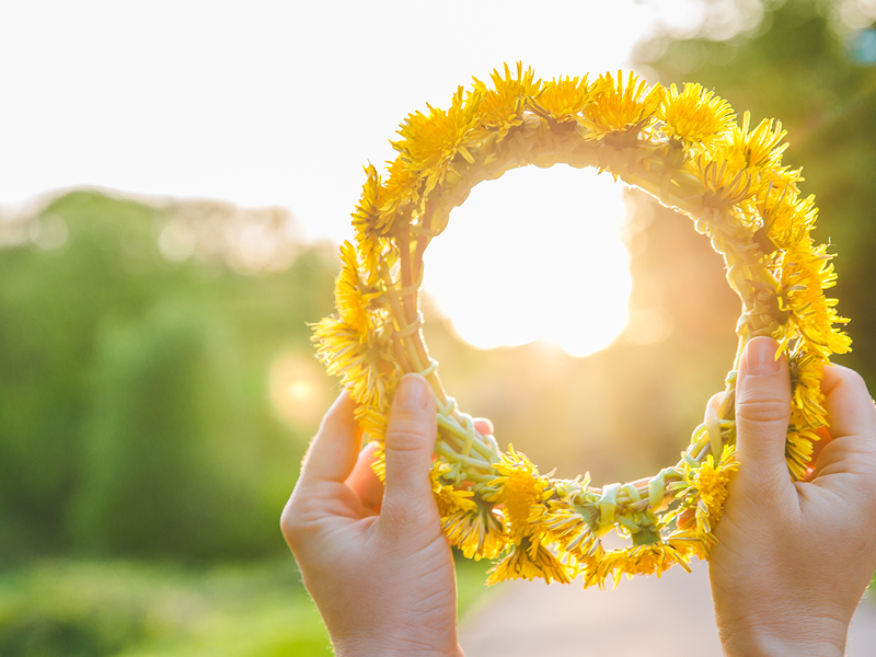 Выбирайте полевые цветочки, не рвите цветы в заповедных зонах или парках. На следующем фото инструкция по заплетанию