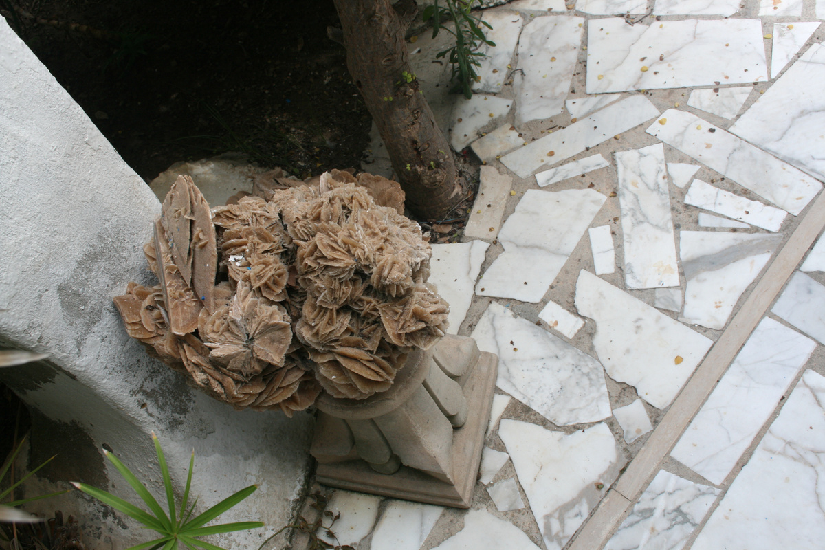 Пустынная роза