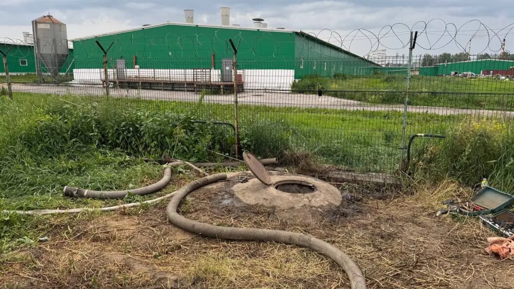    Фото: прокуратура Красноярского края