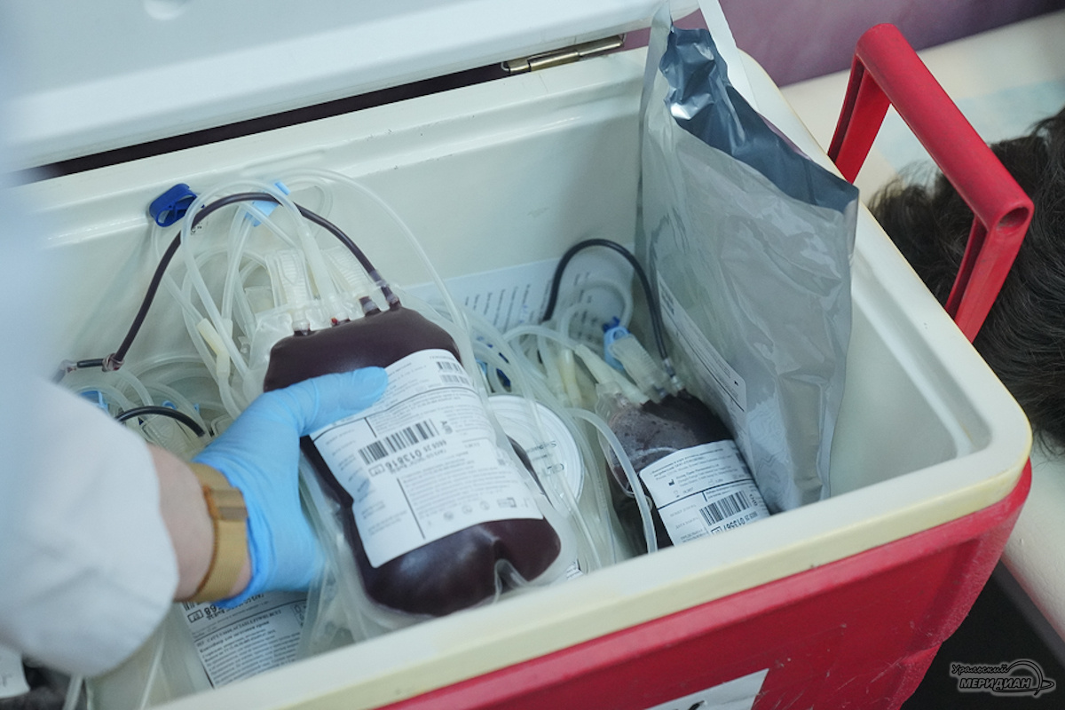    Фото: Лидия Аникина © ИА «Уральский меридиан»