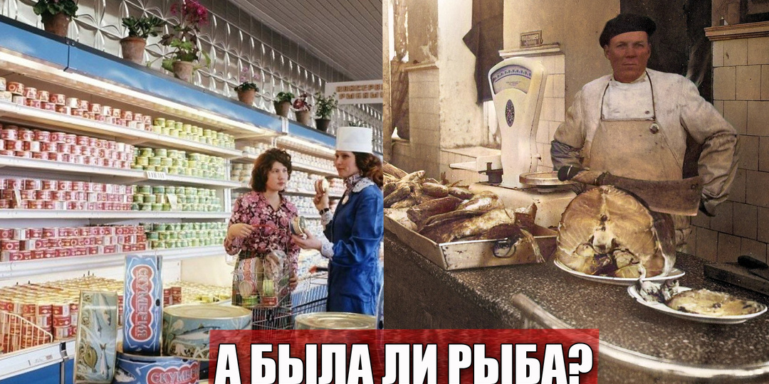 Почему сегодня мы уже забыли вкус приличной рыбы, а в СССР её было изобилие