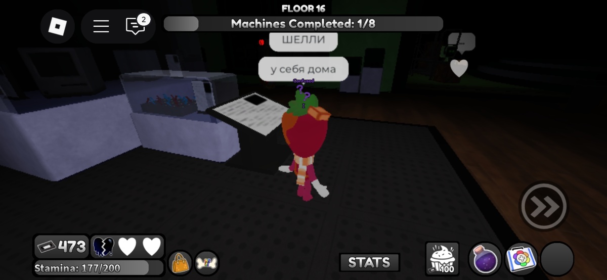 Шелли на 16-м этаже😍Этаж Ви+блекаут