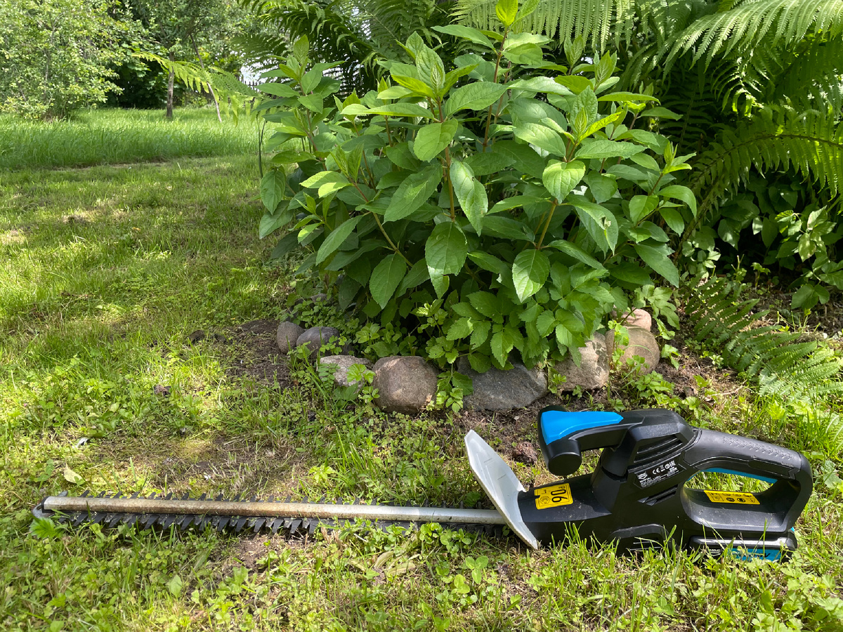 Это мой помощник 