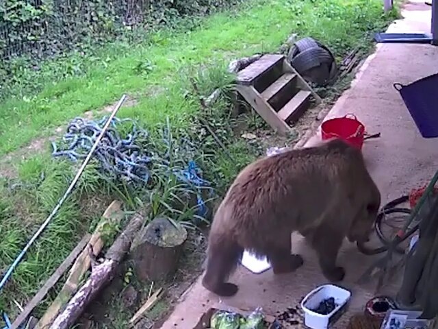    Фото: instagram.com (принадлежит Meta, организация признана экстремистской и запрещена в РФ)/Wildwood Devon