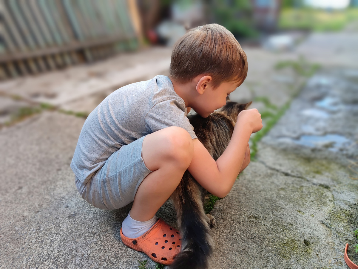 Вадюха заловил кота Масю