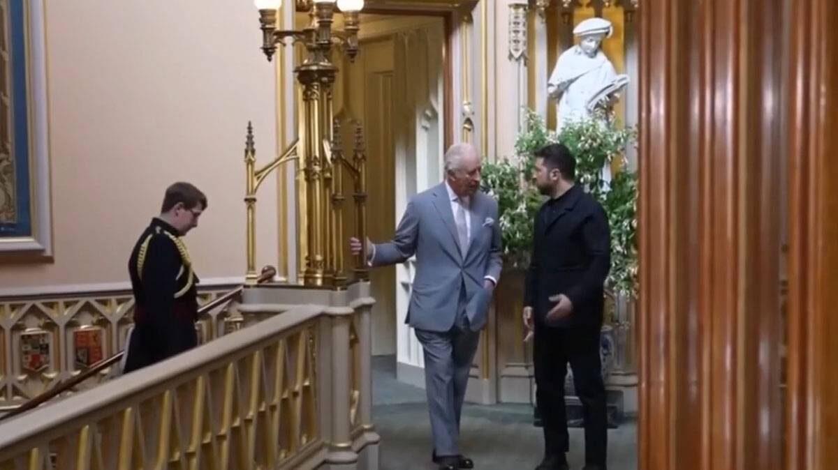    Фото: Rutube / Красная кнопка