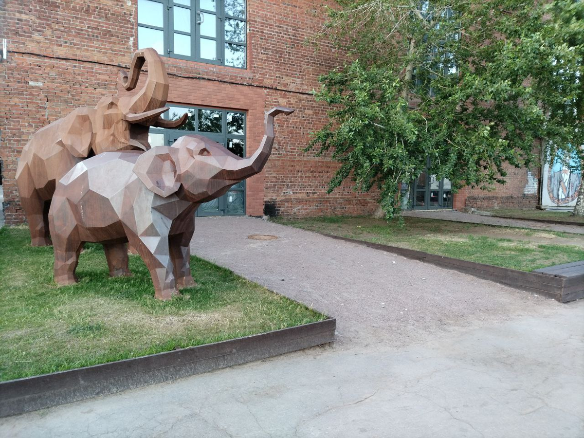 Фото автора.