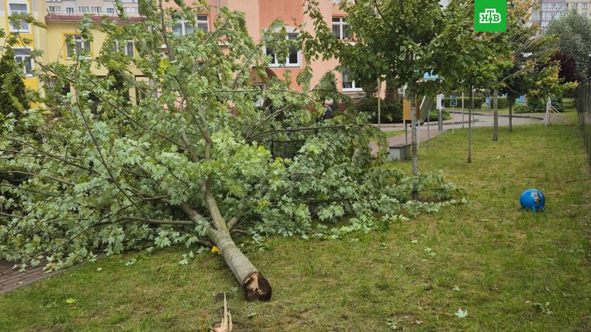    Фото: prokuratura39 / t.me