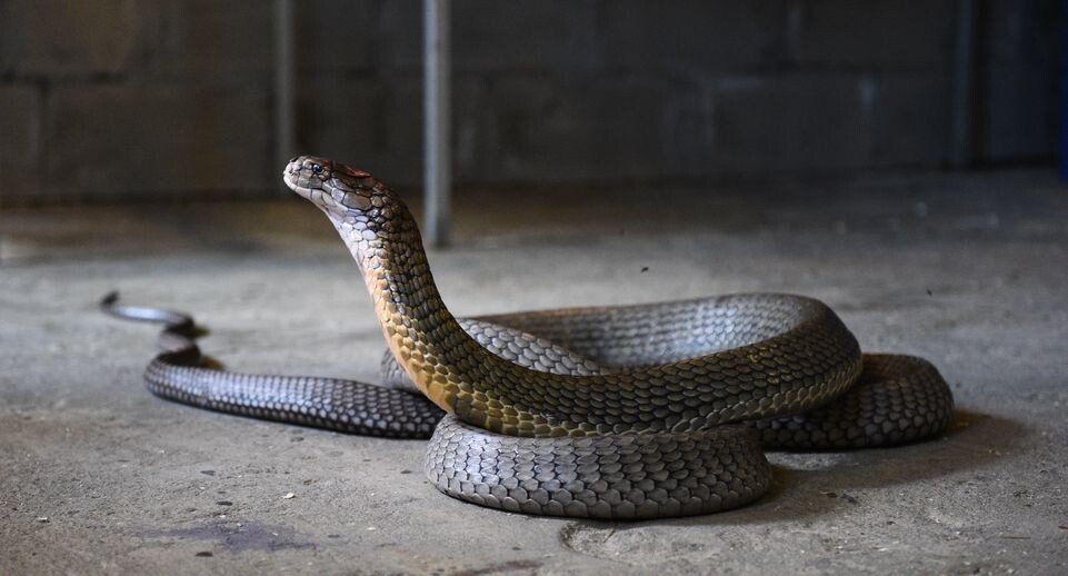    Медиасток.рф