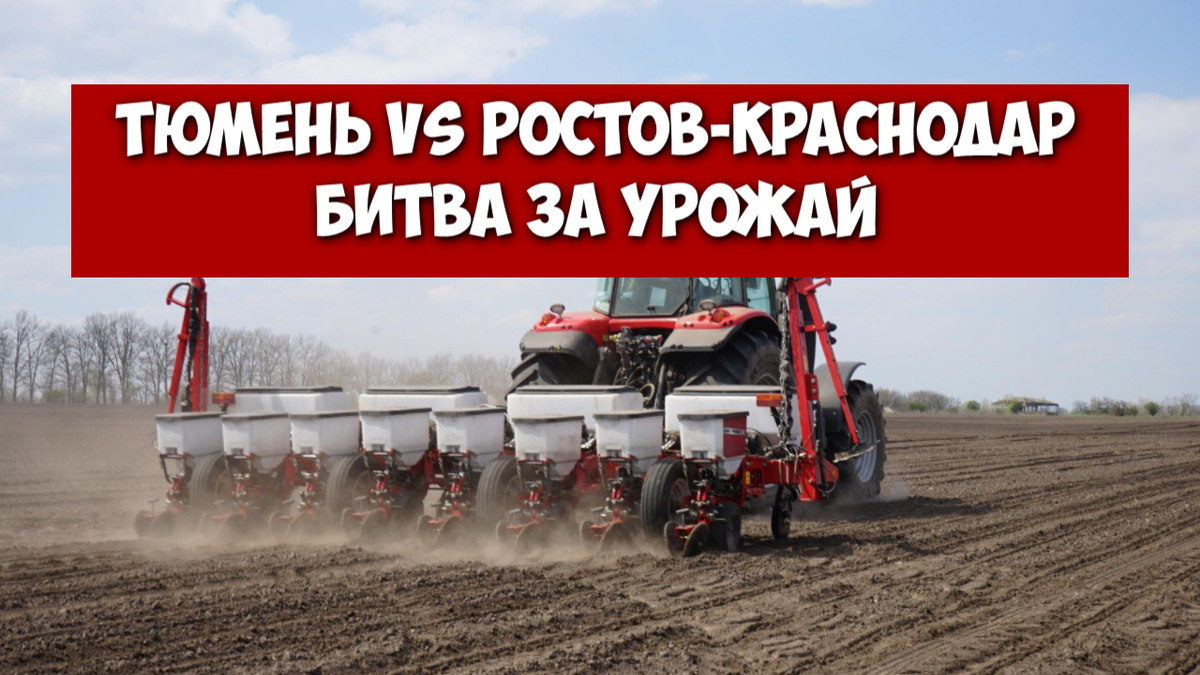 Тюмень завершила посевную. 24 июня 2025