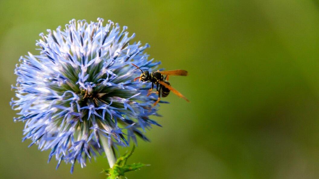    Svetlana Vozmilova/Globallookpress