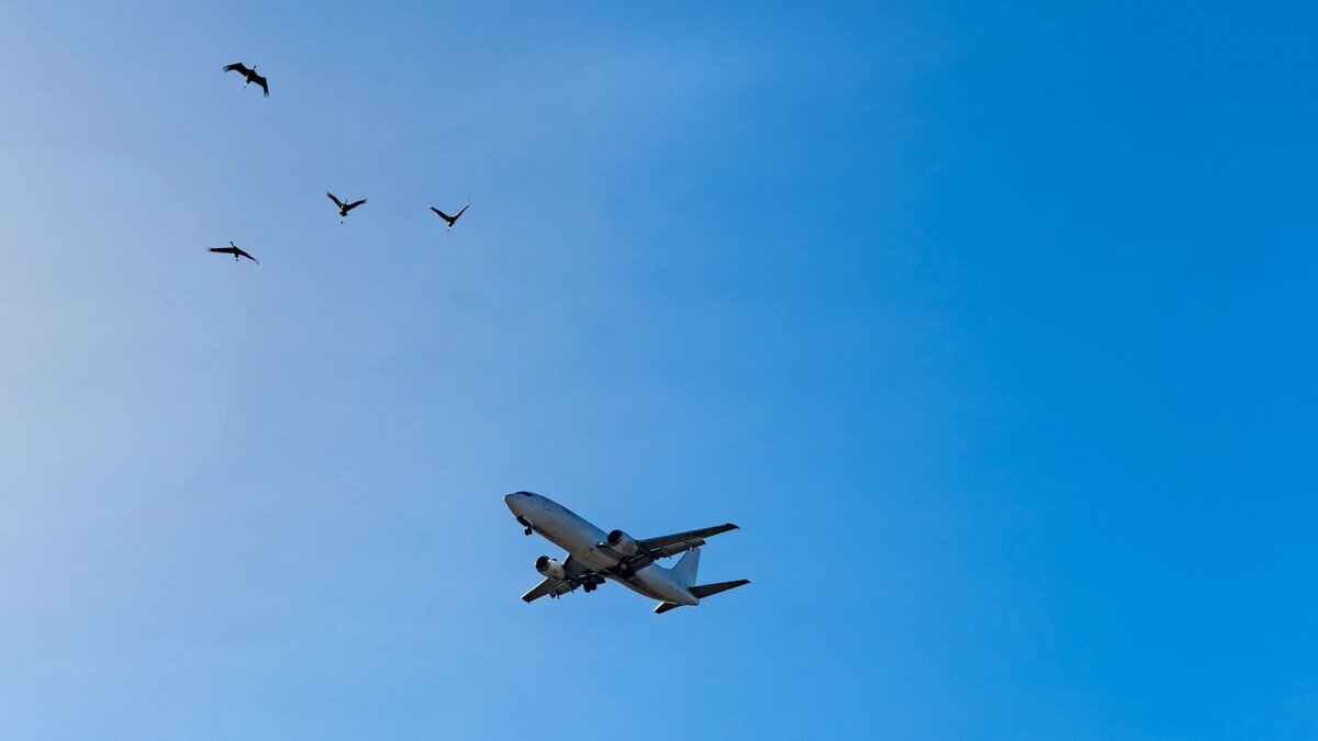    Фото: Grints/Shutterstock/Fotodom