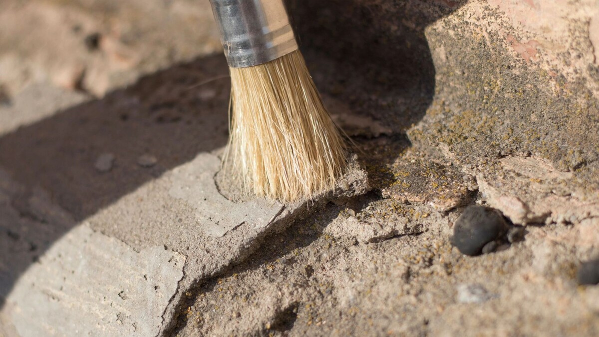    Фото: Irina and Denis / Shutterstock / Fotodom