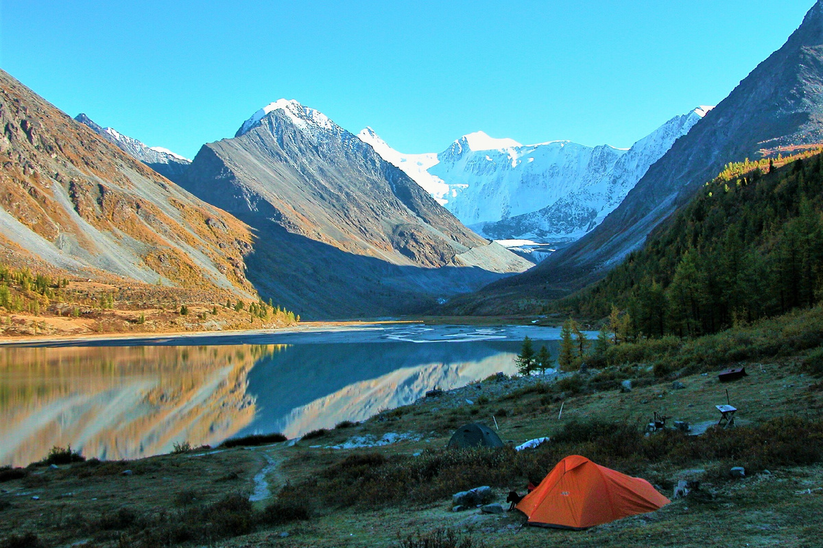 Автор: undefined undefined | Источник: Getty Images/iStockphoto