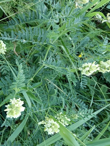 Фотография из личного архива автора