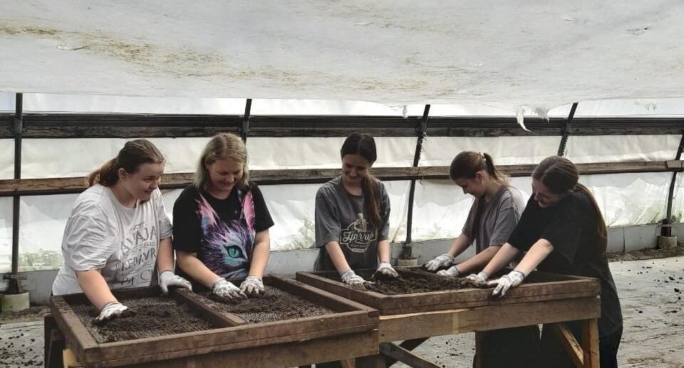    Группа "Малино"