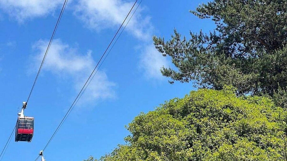    Фото: нацпарк Сочи