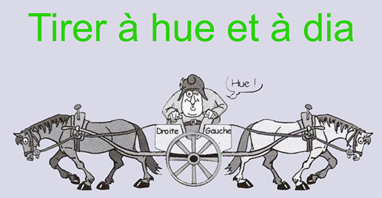 Картинка из свободных источников