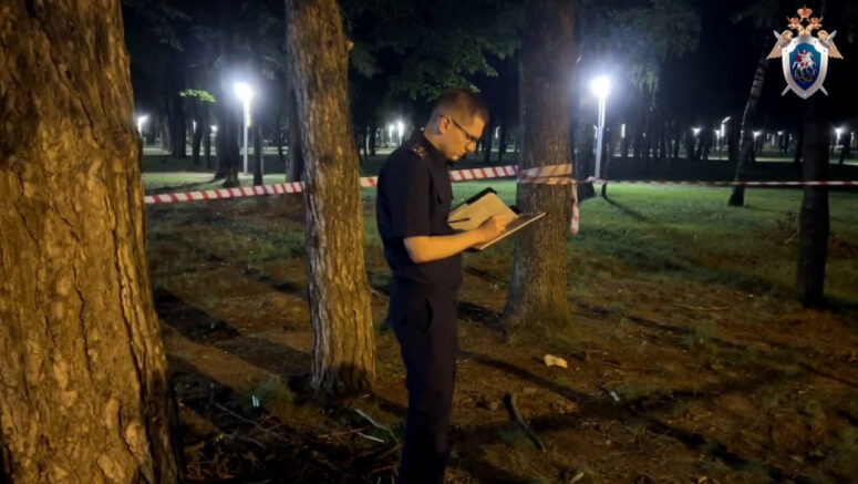    Скриншот видео: t.me/kubansledcom