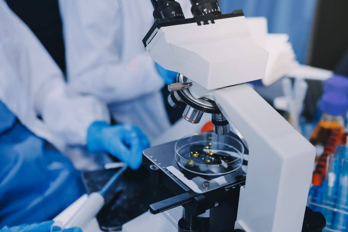    Частные российские вузы занимались научной работой меньше, чем государственные / © Titiwoot Weerawong, www.vecteezy.com