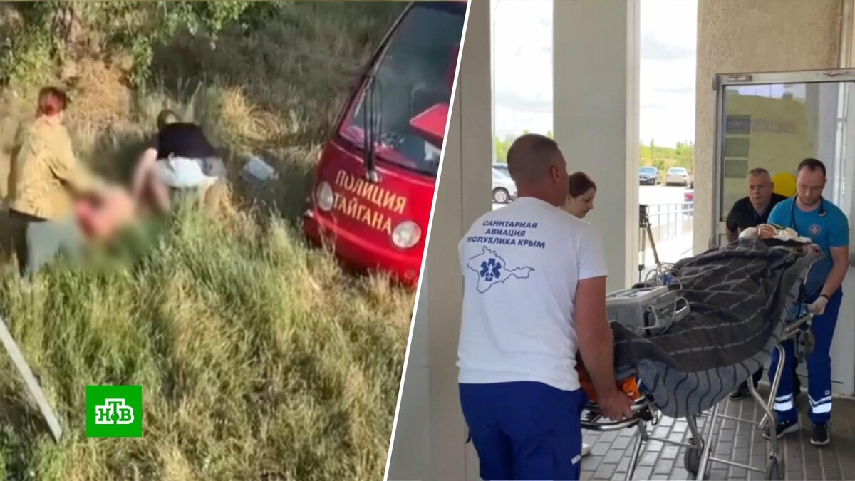    «Там конфликт между львами»: очевидец  о причинах трагедии в «Тайгане»