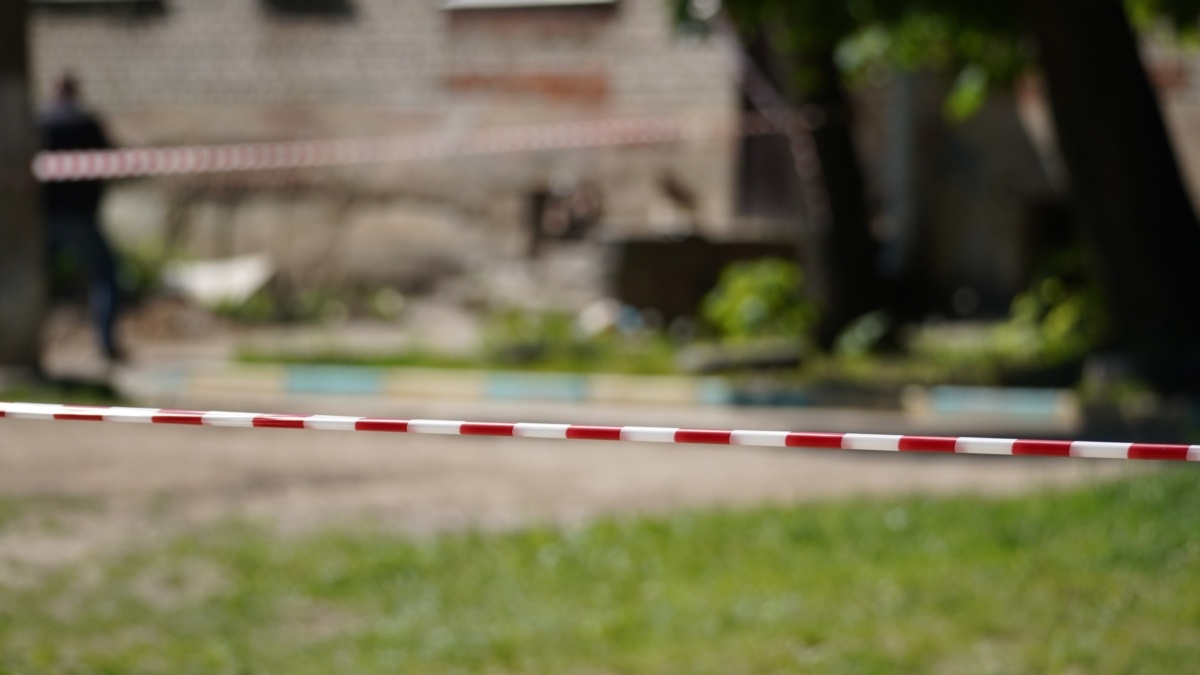 Светлана Мулыкина📷
