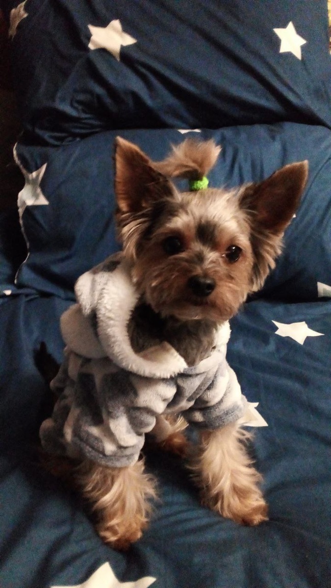 Звездный мальчик:) (фото автора)