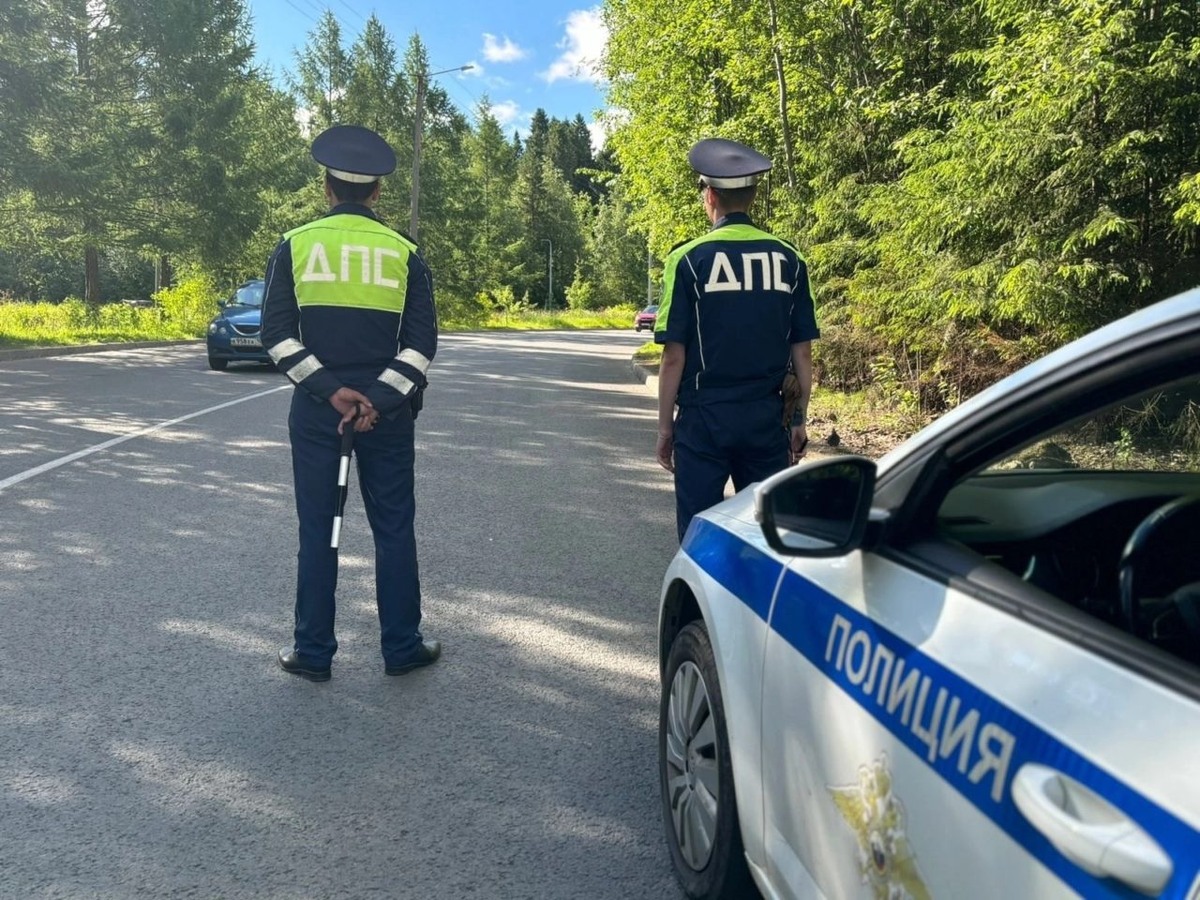   Фото: ГАИ Петрозаводска