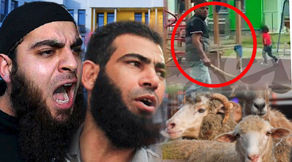 Коллаж автора