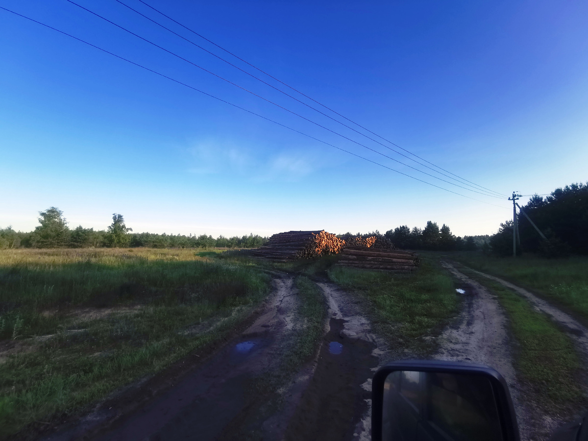 Подъехал к опушке леса в соседней области. 