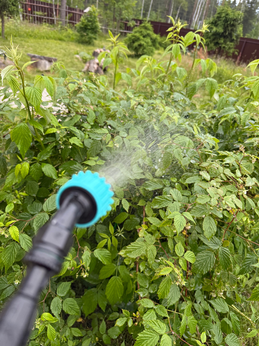 Раствор горчичного порошка прекрасно сочетается с бытовым распылителем - ничего не забивается