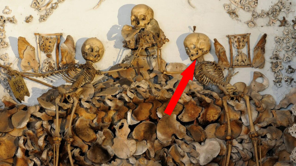    Таинственные мумии капуцинов раскрывают секреты древних ритуалов