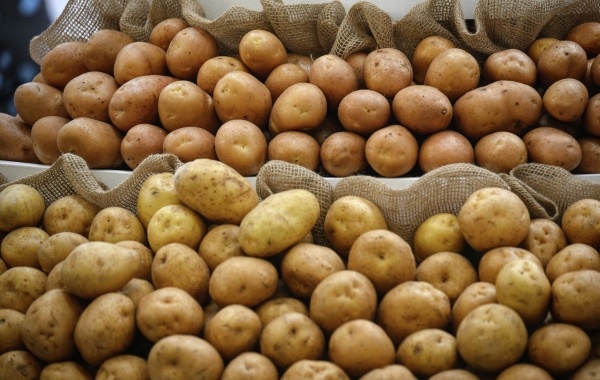 Фото: РИА Новости