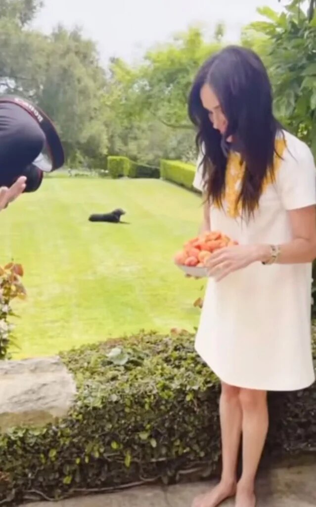 Фото: социальные сети Меган Маркл