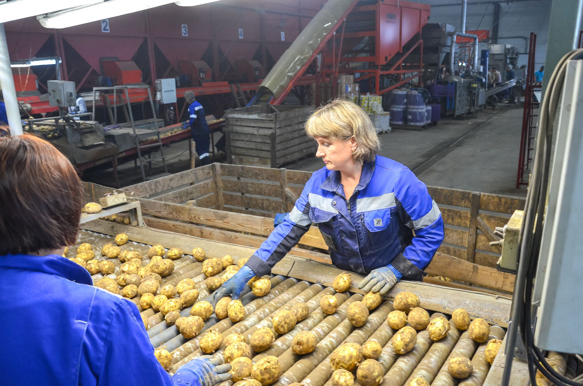 Продукт полностью непригоден для употребления в пищу.  Фото: Фото: ФедералПресс / Дмитрий Шевалдин