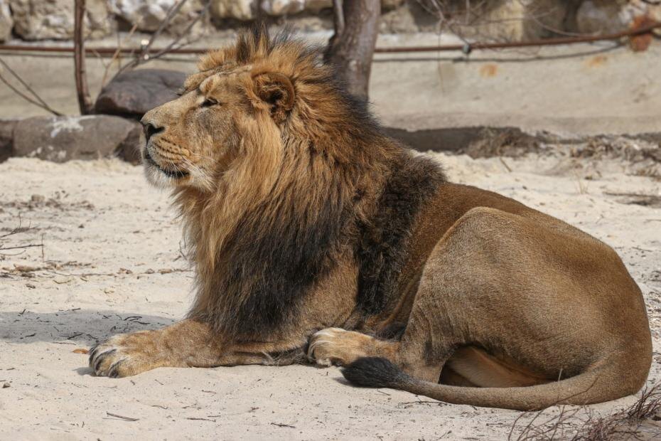    Сергей Булкин/NEWS.ru