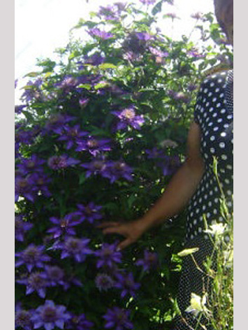 Фотографии более 15 лет