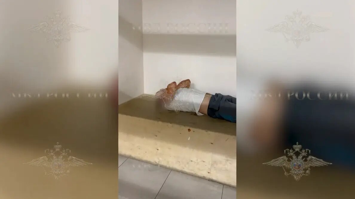    Фото: кадр видео МВД РФ