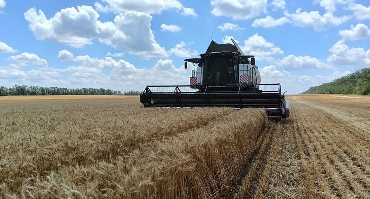    Фото: ФГБУ ЦОК АПК