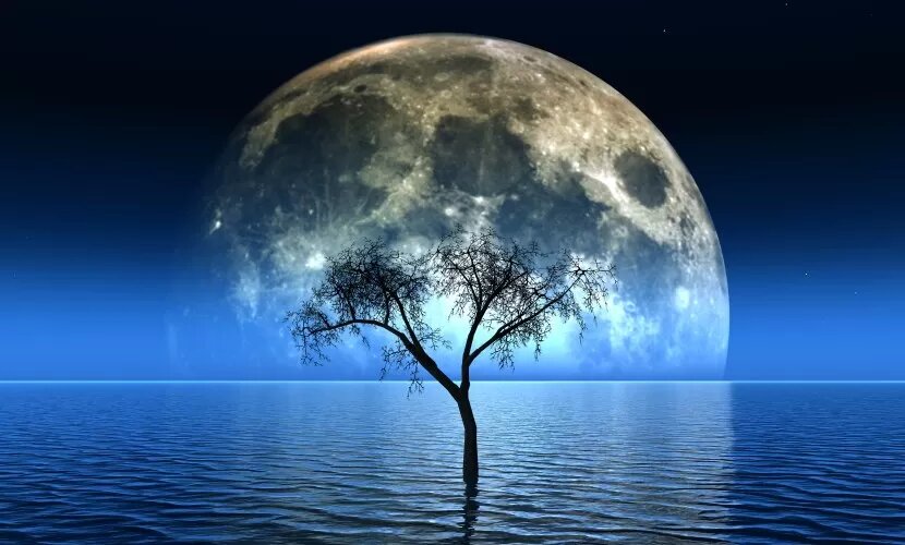 Источник: kjpargeter / freepik.com