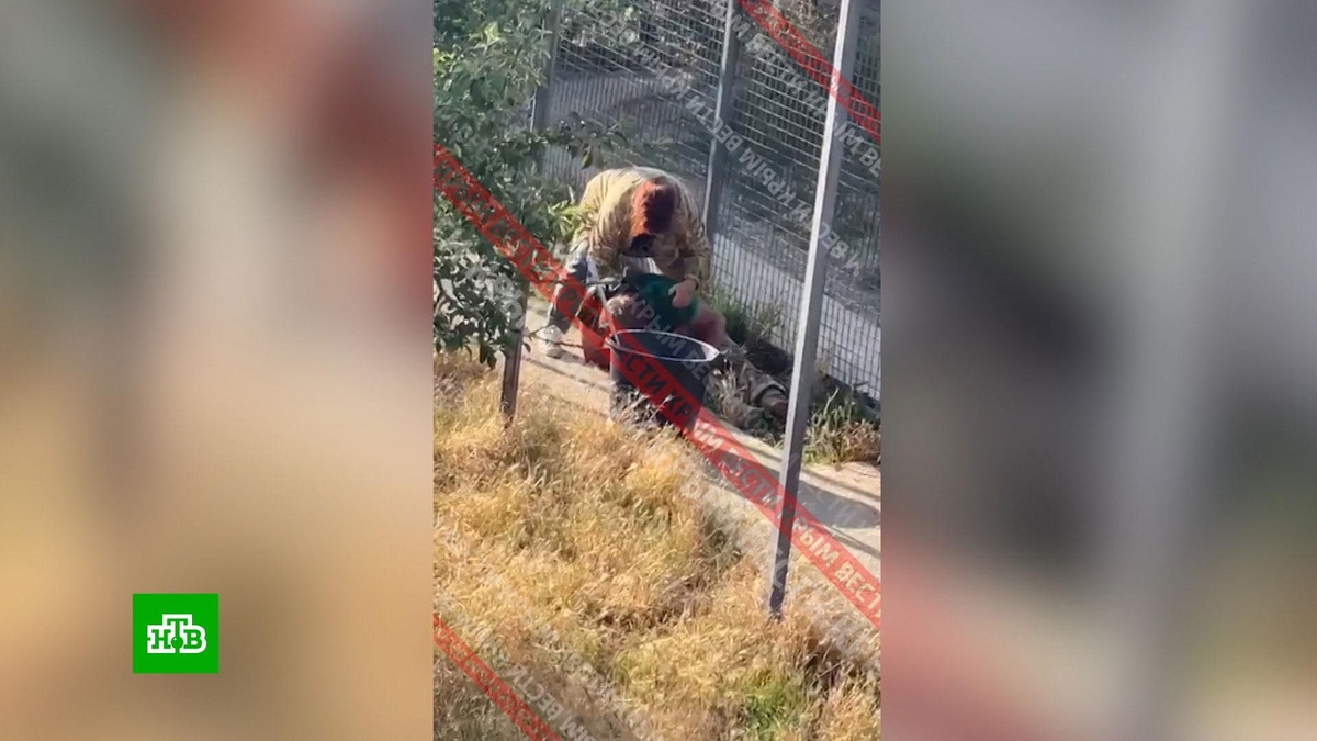    Директор парка «Тайган» смог сам выбраться из клетки после нападения льва