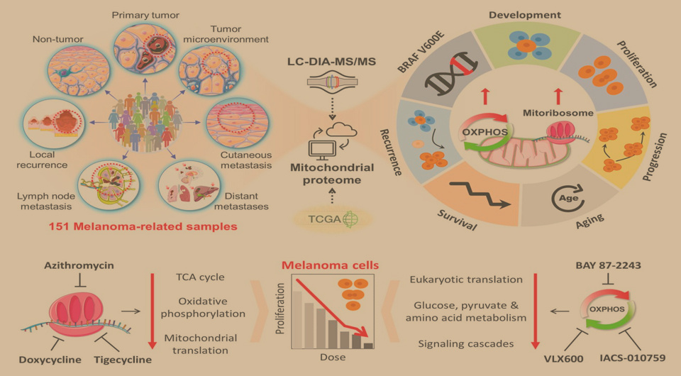   Kim et. al / Cancer, 2025