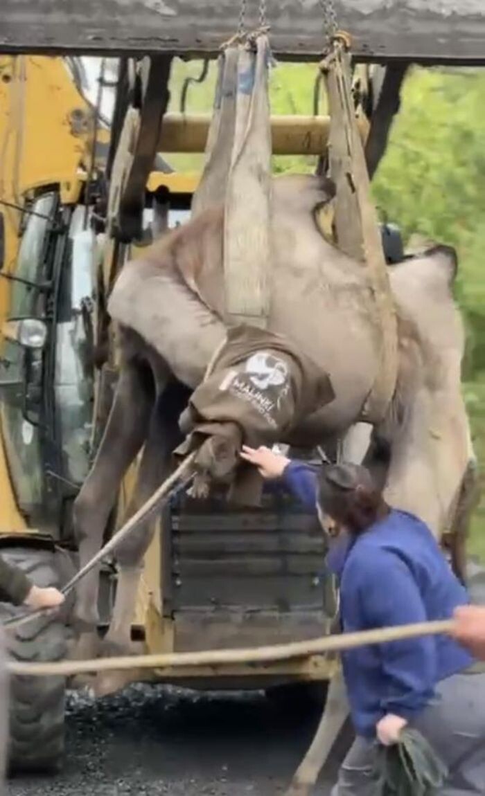 Источник фото: Пресс-служба Южного парка «Малинки»