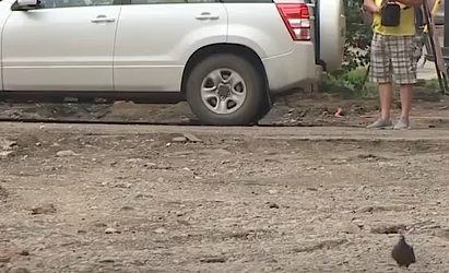     В центре Красноярска приводят в порядок перекопанные тротуары