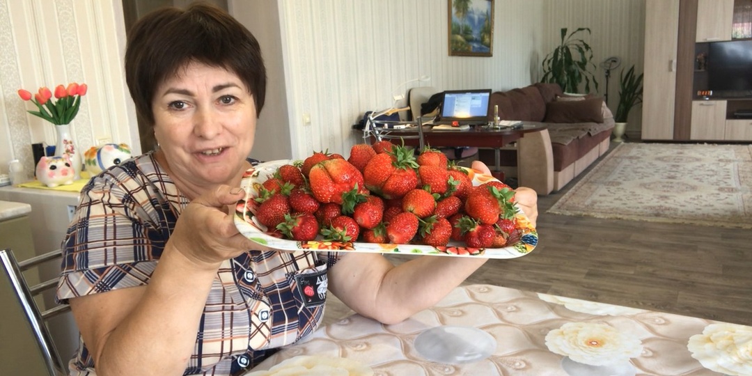 Мой урожай клубники: когда и чем я ее подкармливаю.