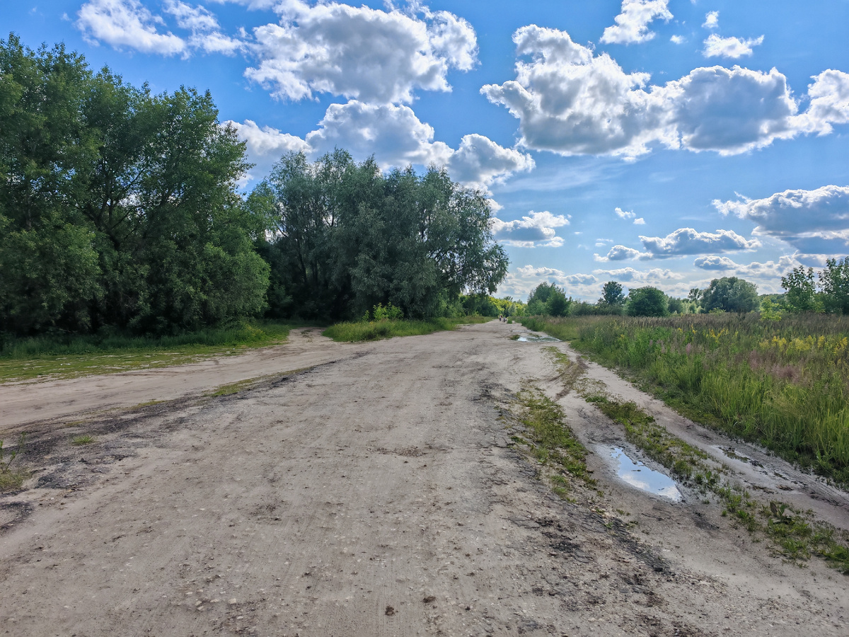 Дорога к реке