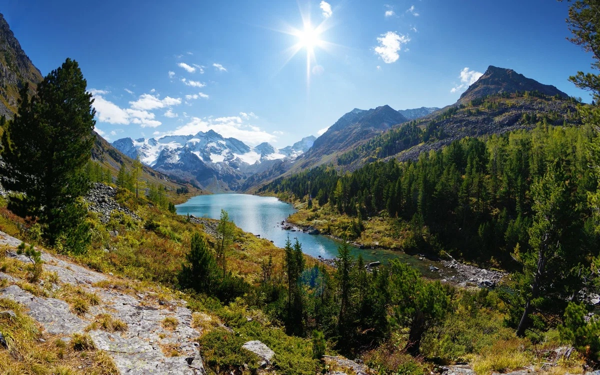 Источник Яндекс Картинки 