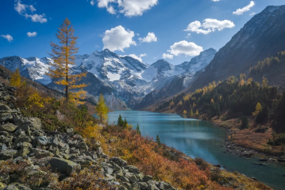 Источник Яндекс Картинки