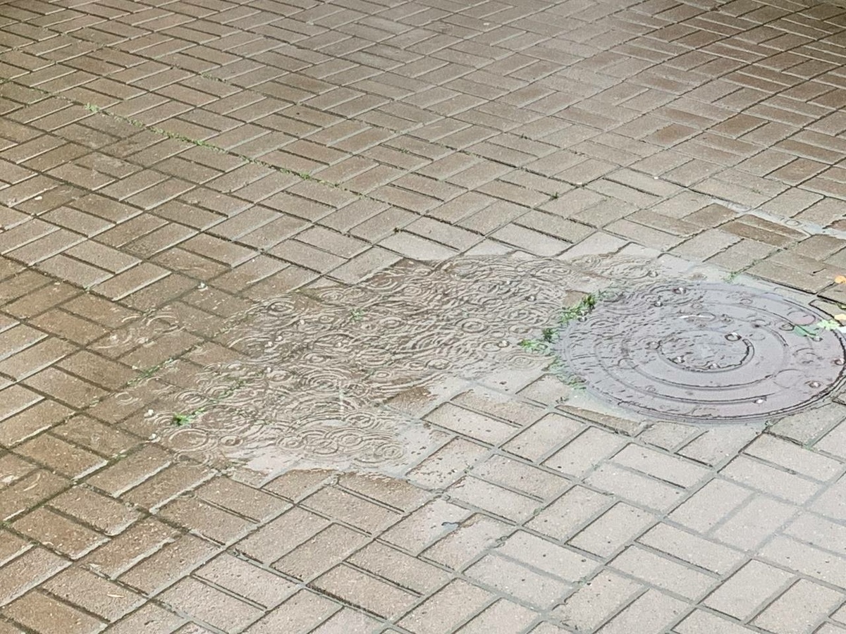 Фото: Neva.Today